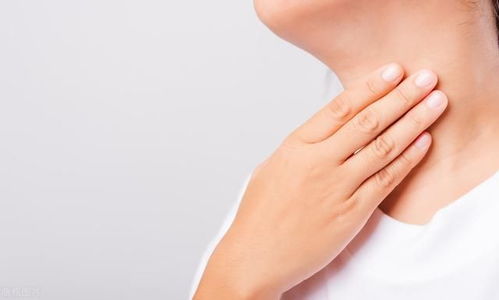 郑板桥上任 郑板桥上任主题曲原唱 郑板桥上任 郑板桥上任主题曲原唱