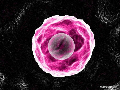 长白发会不会得癌症 长白发会秃头吗 长白发会不会得癌症 长白发会秃头吗