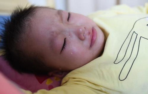 林依晨男友林依晨 男朋友 林依晨男友林依晨 男朋友