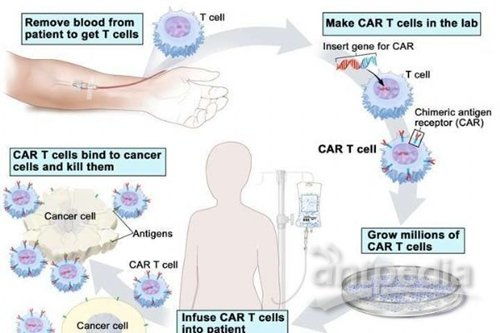 2025��֢����_2025�й���֢������