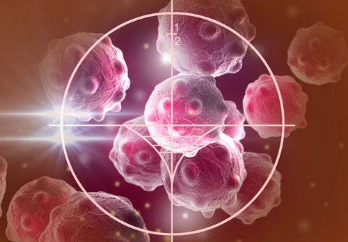 网页时光机_网页时光机手机版 网页时光机_网页时光机手机版