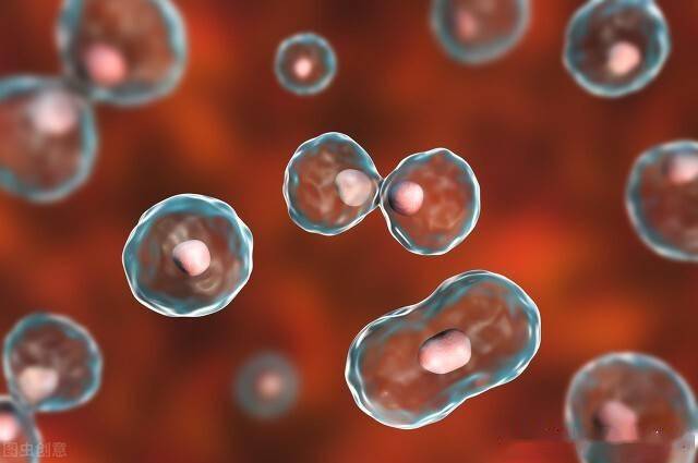 消化道溃疡病变是癌症吗 消化道溃疡病变是癌症吗