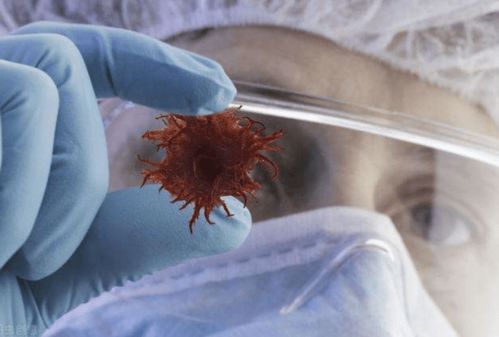 �����˿�����̵�ǰ�֢��