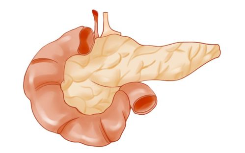 90��ΰ�֢���� ��ʮ����ΰ������ܻ���