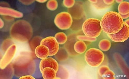 ��֢���˿��Գ�ô��Ƭ