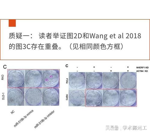 癌症会大面积掉头发吗 癌症会大面积掉头发吗