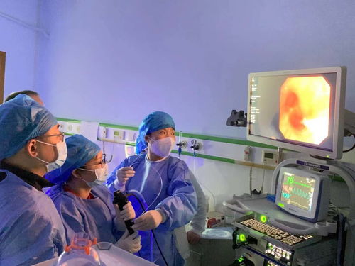 ��֢�ж��� ��֢�ж��